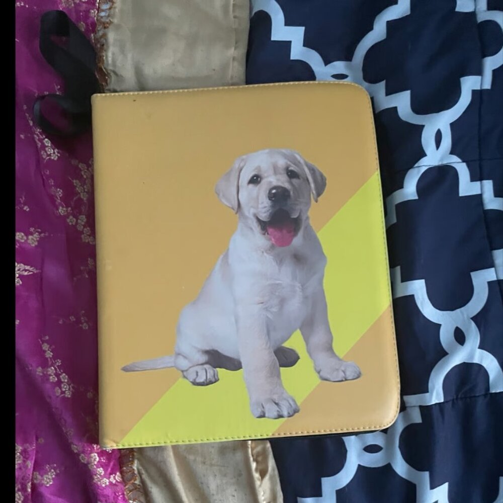 Trading Card/Photo Card Binder